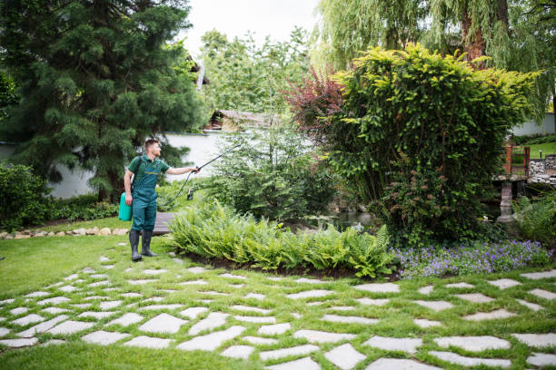 Best Ant Control Services  in Lillian, AL