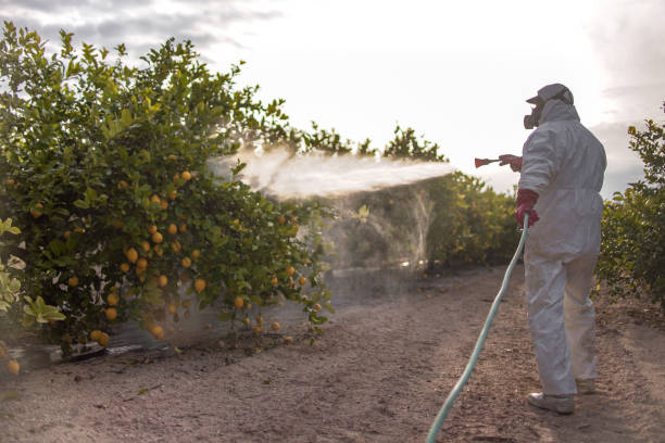 Best Pest Control Near Me in Lillian, AL