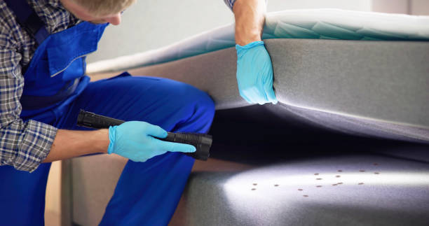 Best Best Pest Control Near Me  in Lillian, AL