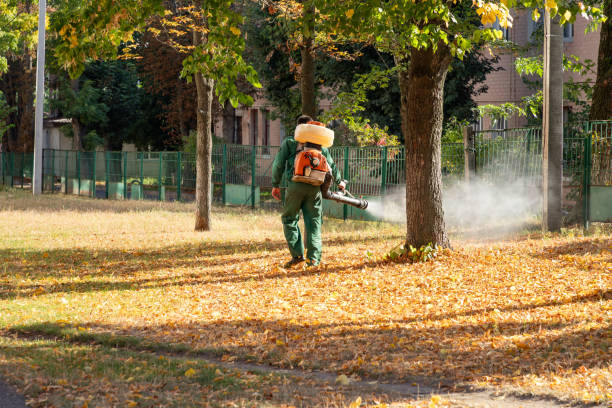 Best Residential Pest Control  in Lillian, AL