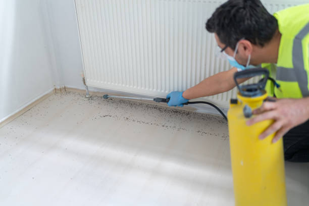 Best Emergency Pest Control  in Lillian, AL