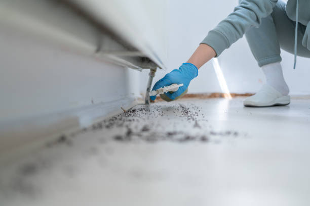 Best Local Pest Control Services  in Lillian, AL